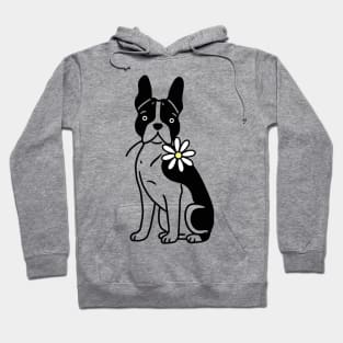 Boston Terrier Hoodie